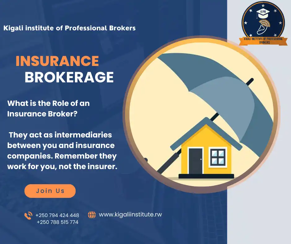 You are currently viewing The Essential Role of Insurance Brokers